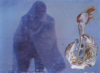 Mer Liquify : Collaborations : Becoming Animal